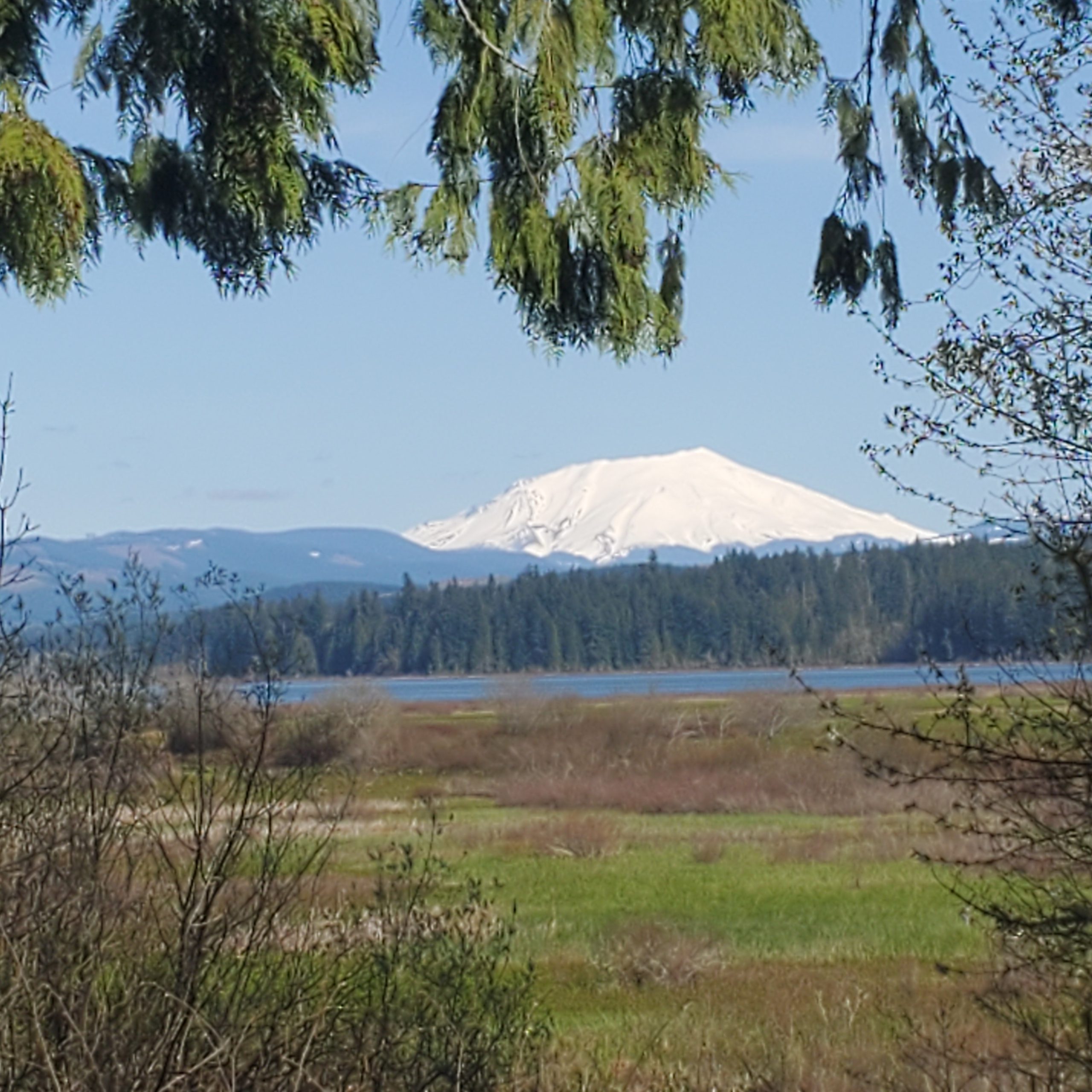 Homeschool-Washington-Oregon