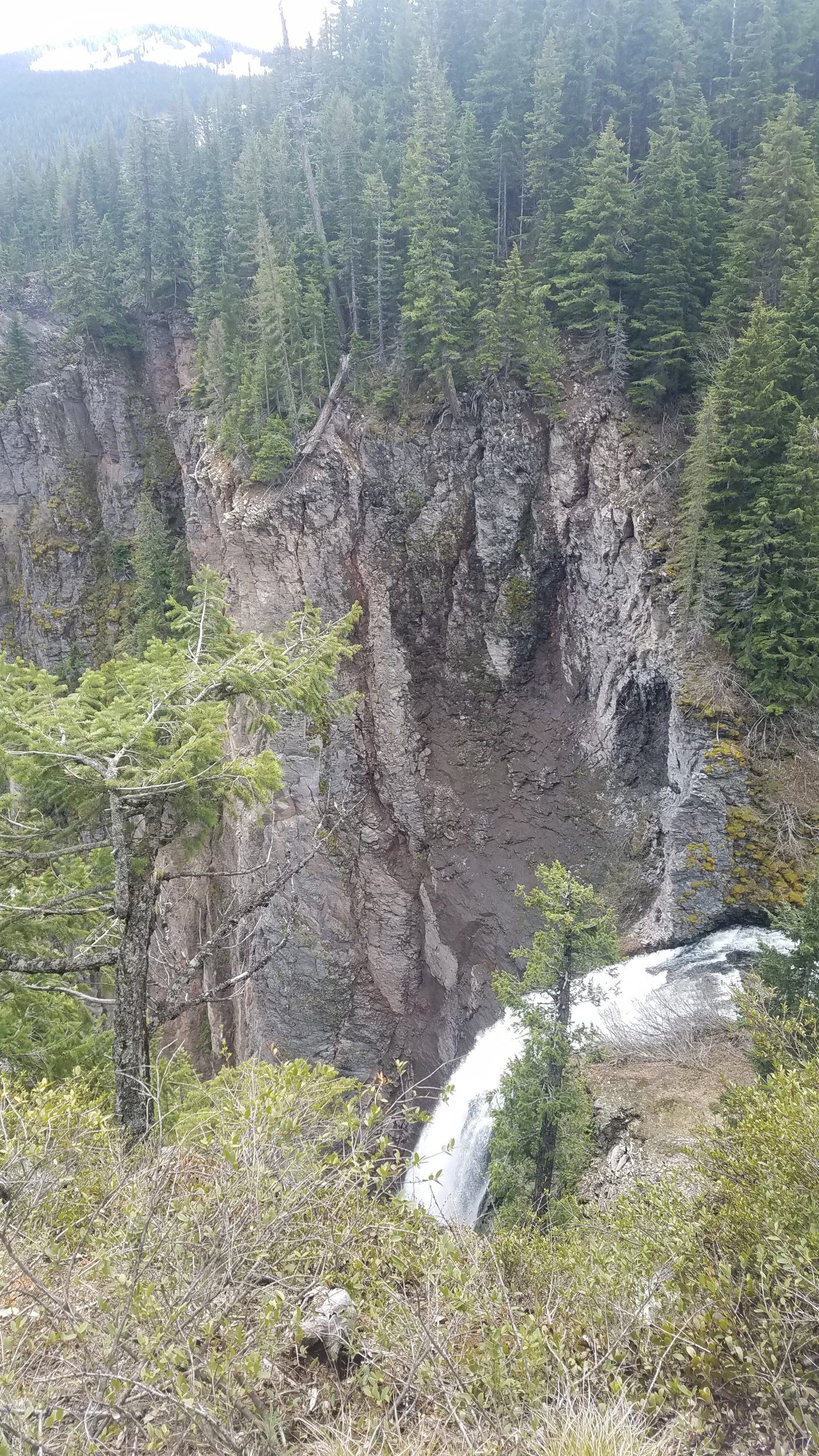 homeschool-special-needs-oregon-washington